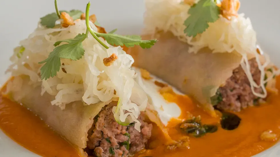 Segedín s wonton závitky